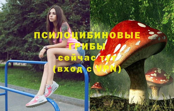 кокаин премиум Богородск