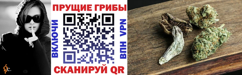 Галлюциногенные грибы ЛСД ОМГ ОМГ маркетплейс Бологое
